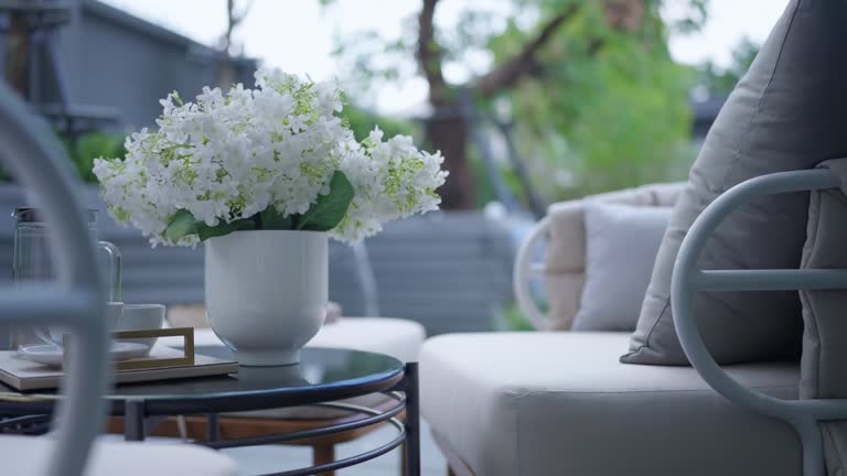 Dining Collection